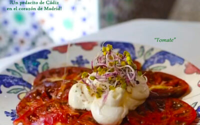 Tapas-Tomates-Taberna La Gaditana La Castellana